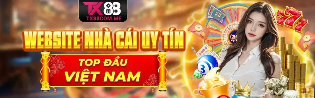 Câu hỏi thường gặp về New88