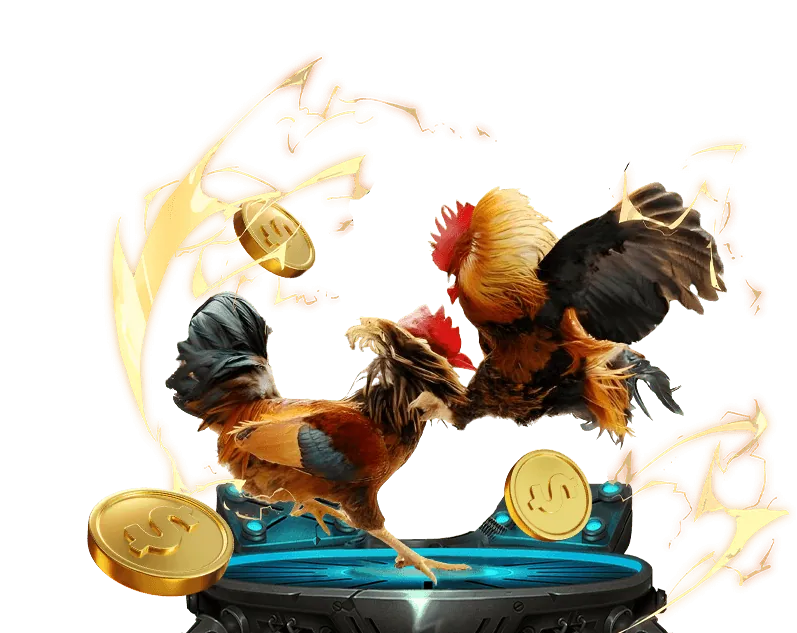 Hình ảnh đa dạng các môn thể thao tại New88